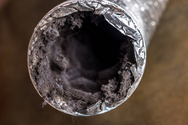 Best Best Air Duct Cleaning Company  in Mertzon, TX