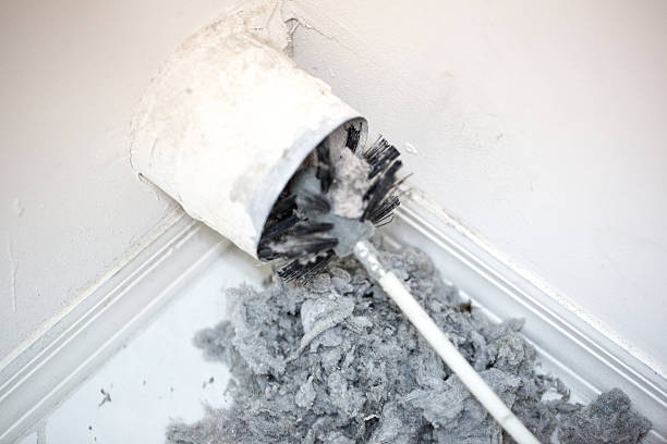 Best Local Air Duct Cleaning Services  in Mertzon, TX